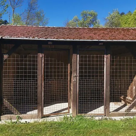 Myslivecka Bukovina Dom wakacyjny Podboransky Rohozec