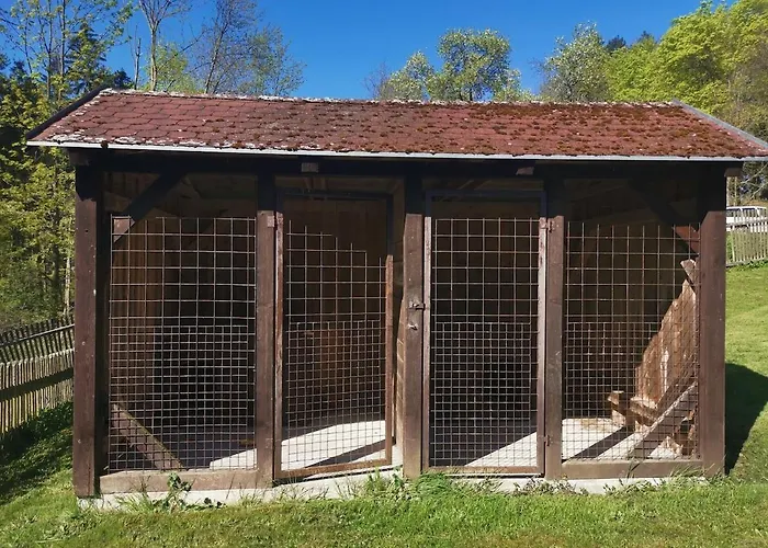 Myslivecka Bukovina Tatil Evi Podboransky Rohozec